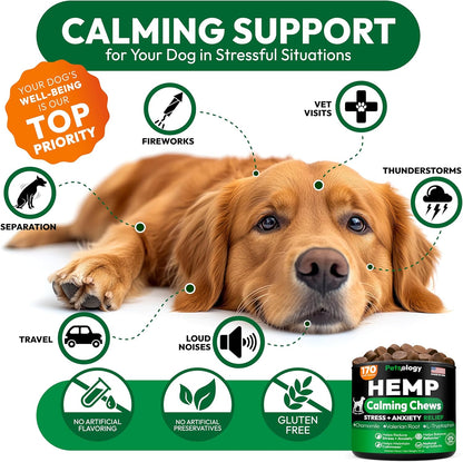 Hemp Calming Chews for Dogs - 170 Dog Calming Chews