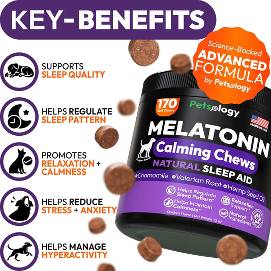 Melatonin Calming Chews for Dogs