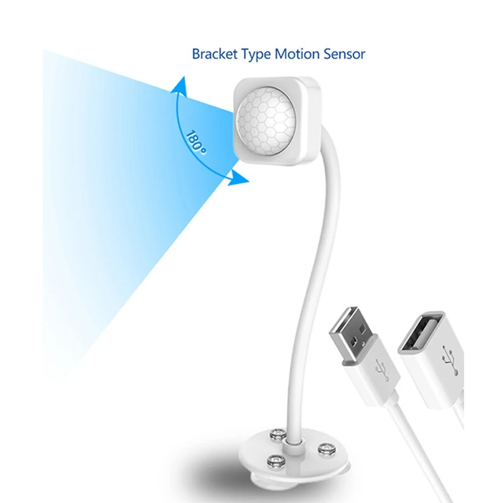 Motion Sensor